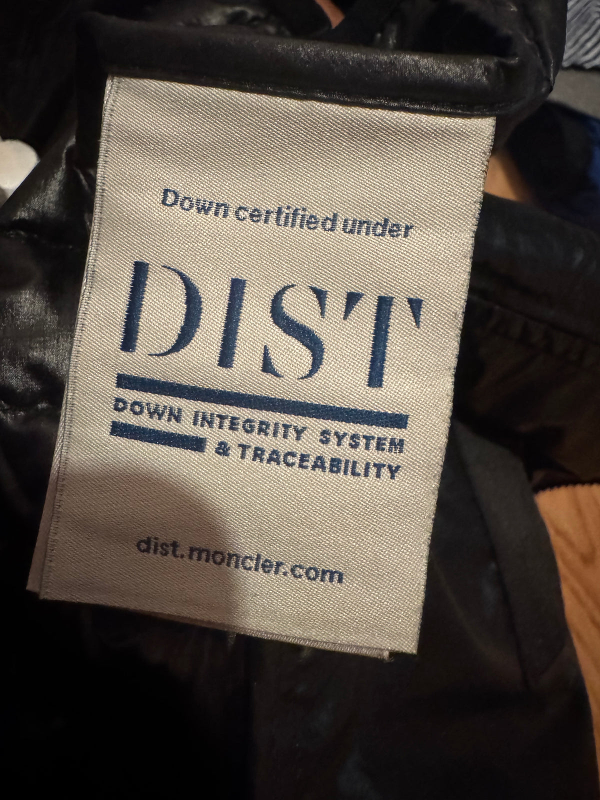 Aptera Down Vest