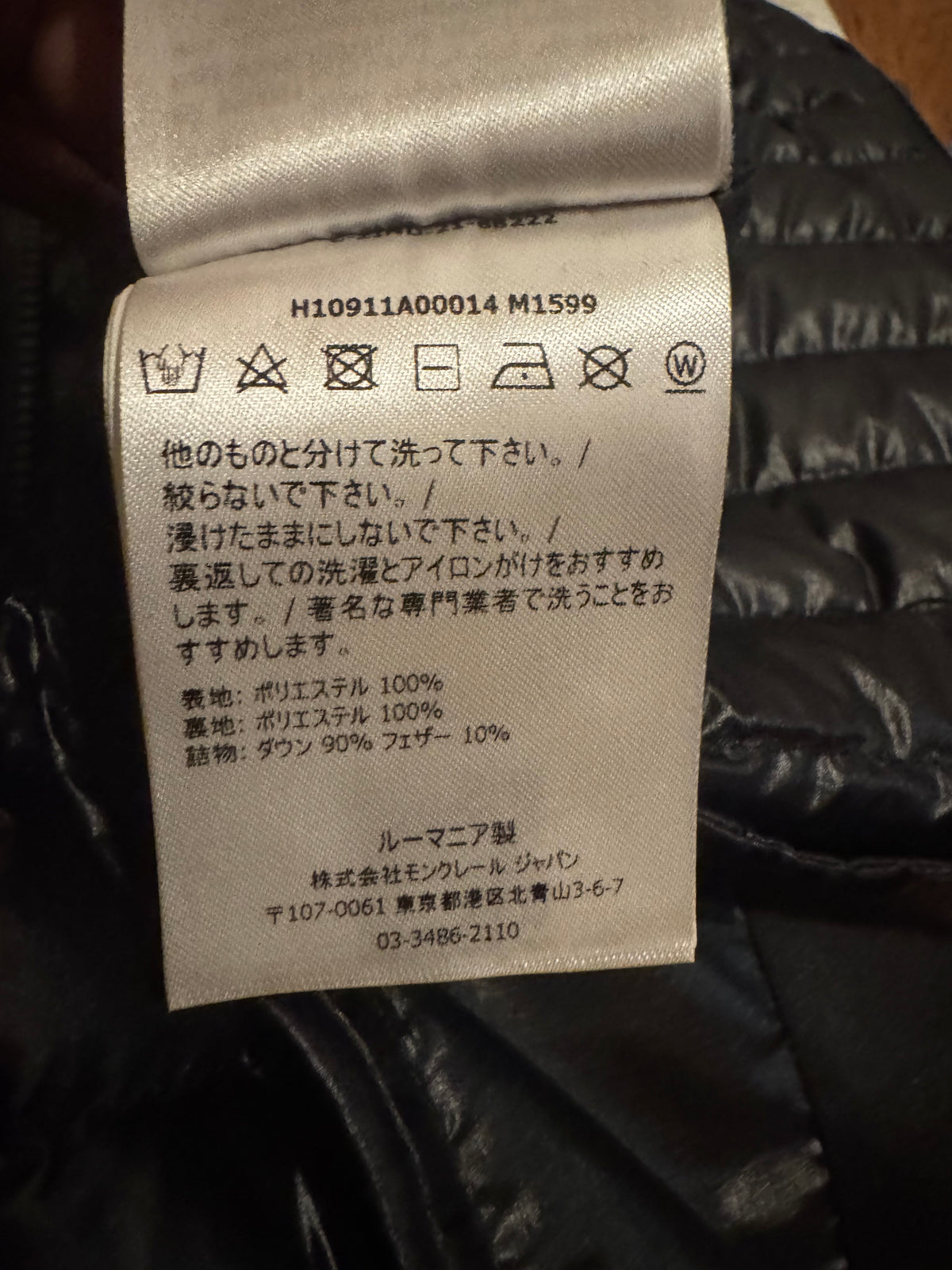 Aptera Down Vest